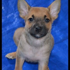 Meet your Posher, Marcus